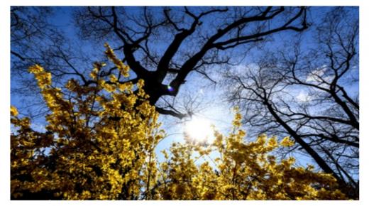 طقس السبت .. أجواء ممطرة وتساقطات ثلجية