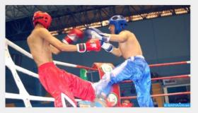 كأس محمد السادس الدولية للملاكمة: تنظيم النسخة السادسة مابين 31 يناير و12 فبراير بمراكش