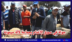 جولة في سوق الأغنام بجماعة لالة ميمونة