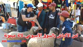 تمن الاكباش بالسوق الاسبوعي لالة ميمونة
