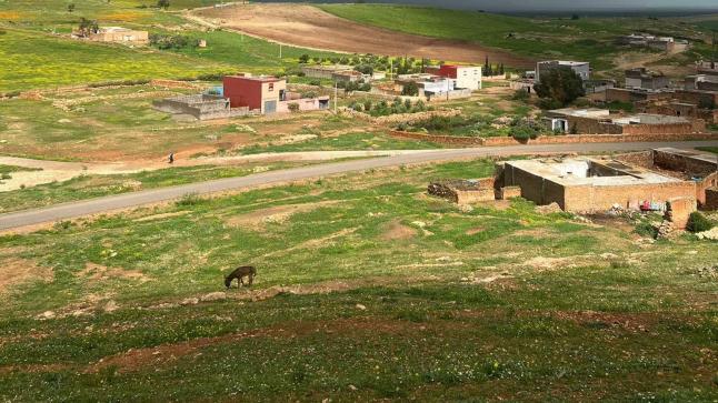 توقعات أحوال الطقس لليوم الأربعاء