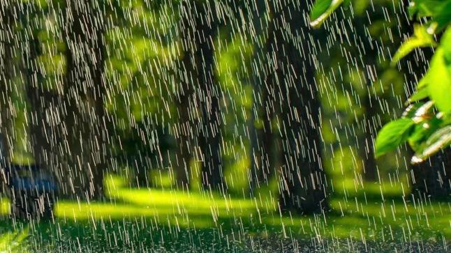 نشرة إنذارية.. زخات رعدية مع تساقط البرد وتساقطات ثلجية من الجمعة إلى الأحد بعدد من مناطق المملكة