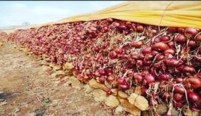 البصل “يُدمع عيون” الأسر المغربية بعد ارتفاع أسعاره.. وحملة جديدة لمقاطعته.