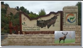 إحداث ملحقة بتازة تابعة للمندوبية الجهوية للسياحة بفاس