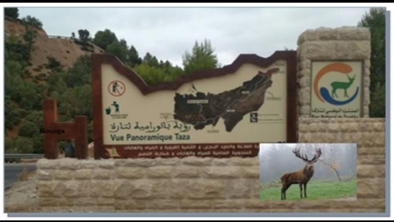 إحداث ملحقة بتازة تابعة للمندوبية الجهوية للسياحة بفاس