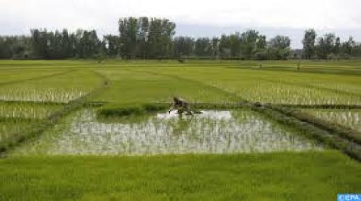 نصاب حول حياة مستثمر فلاحي بإقليم اشتوكة ايت باها الى جحيم.