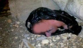 العثور على رضيعة ميتة قرب من حاوية الازبال بفاس