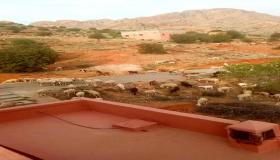 الرعاة الرحل يعيثون فسادا بمنطقة تودما بإقليم اشتوكة ايت باها.