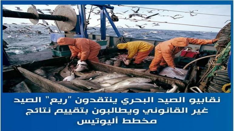 نقابيو الصيد البحري ينتقدون “ريع” الصيد غير القانوني ويطالبون بتقييم نتائج مخطط أليوتيس